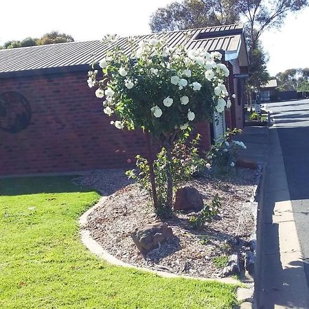 Federation Motel Resort - Corowa Eksteriør bilde